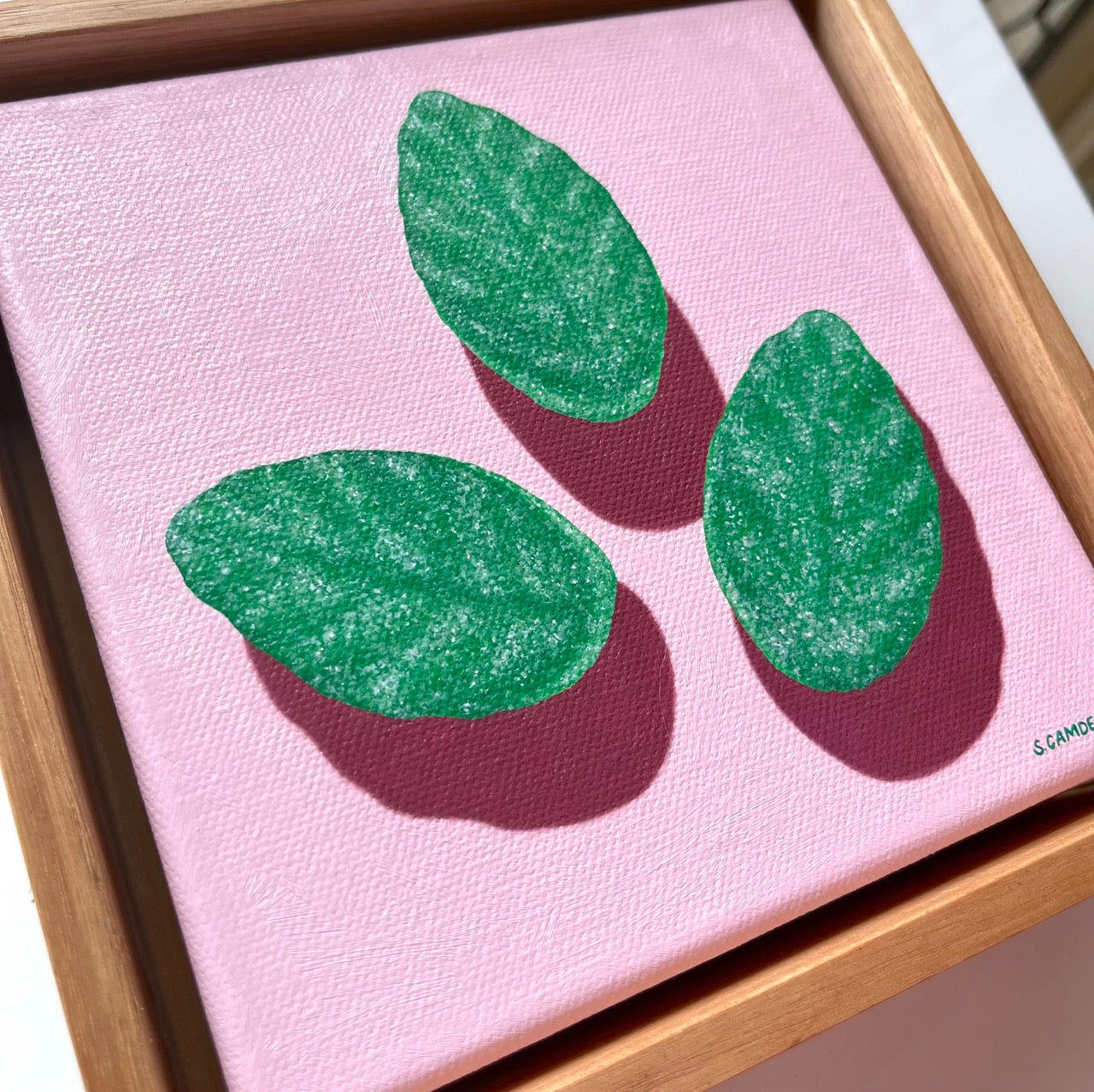 Spearmint Leaves