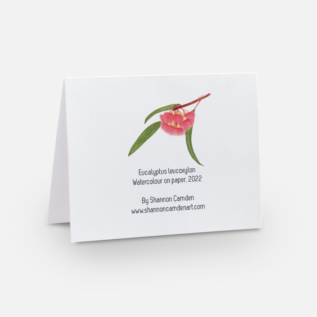 Eucalyptus Christmas Card