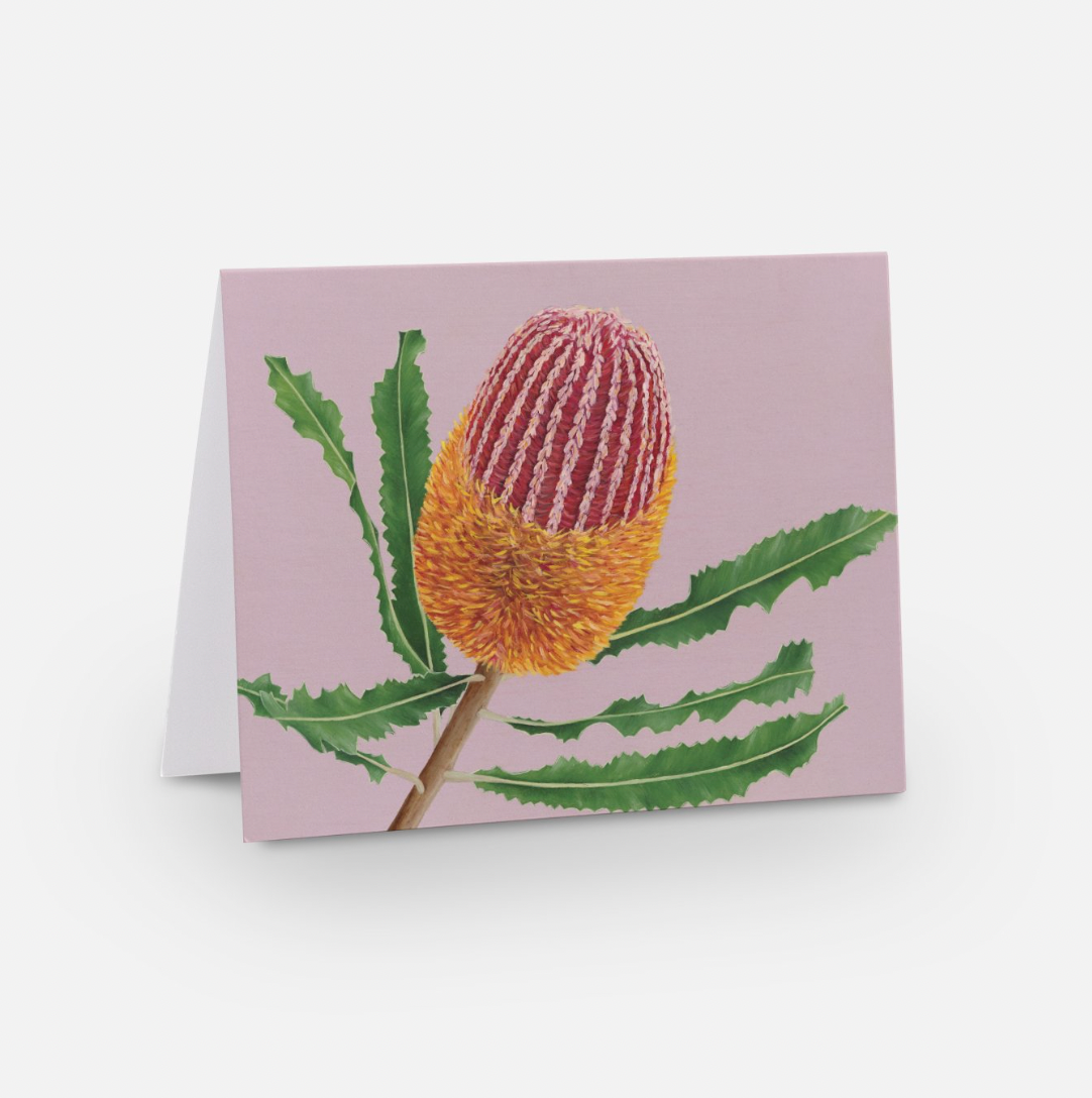 Firewood Banksia Greeting Card