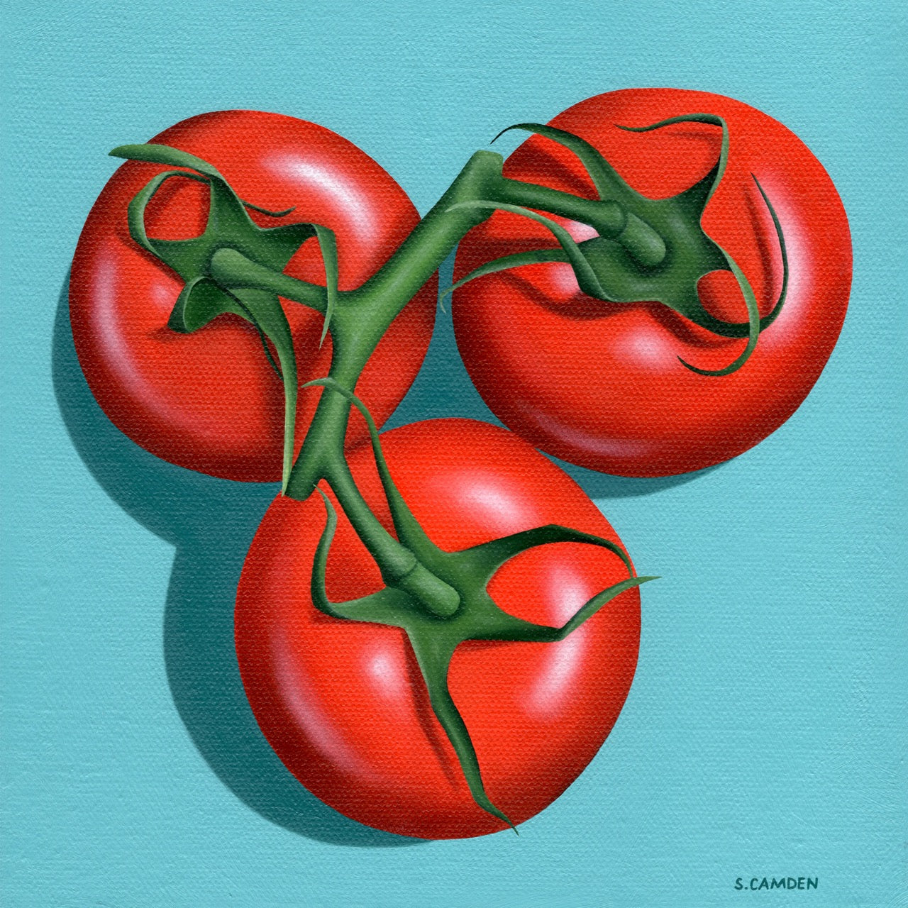Tomatoes Magnet