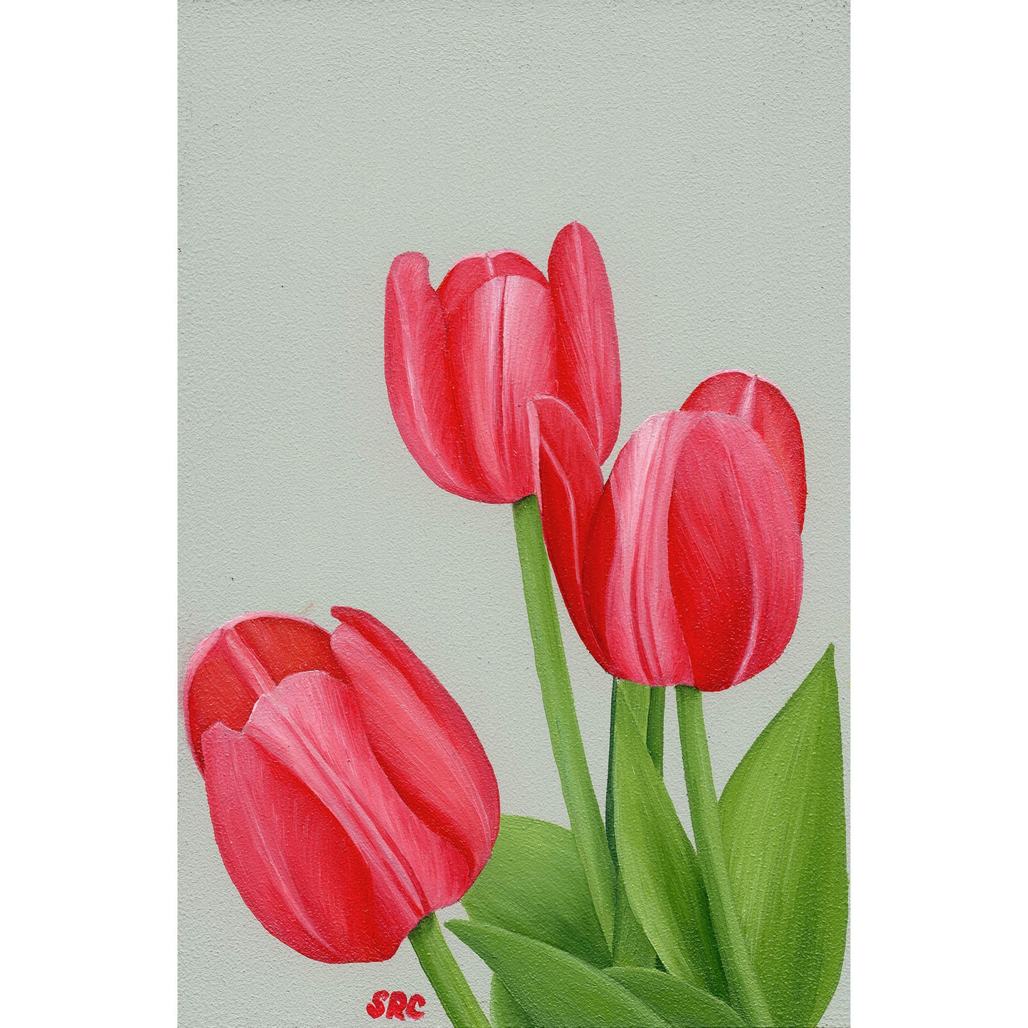 Tulips Gift Tags