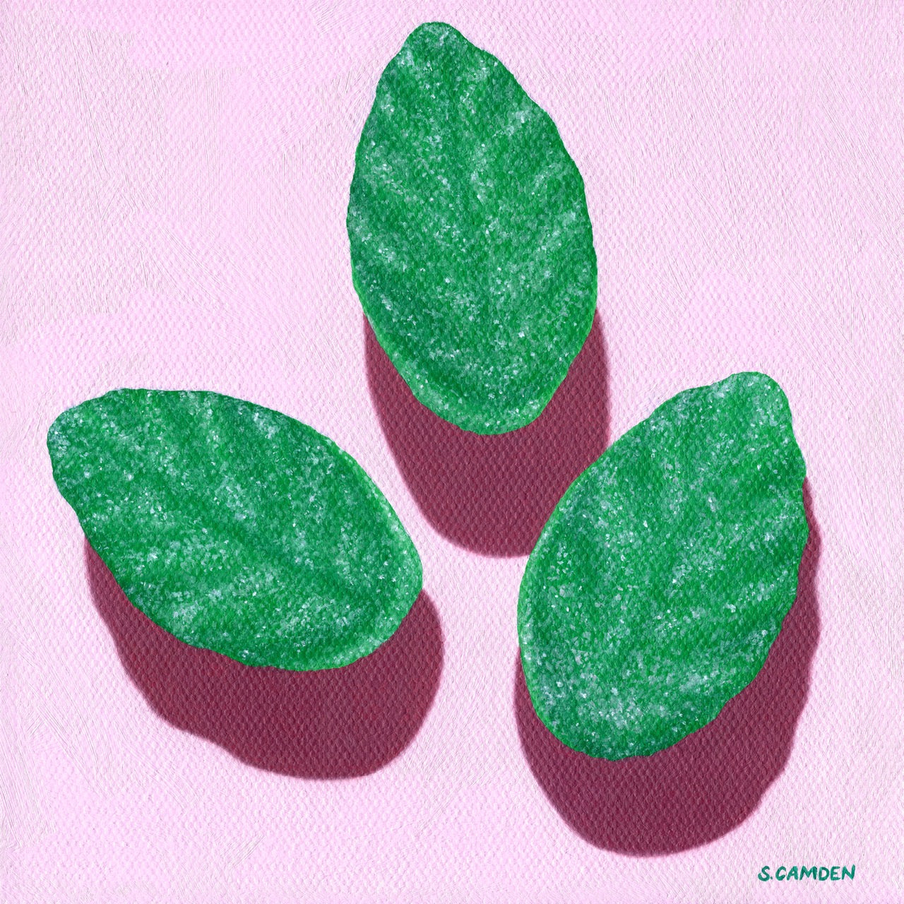 Spearmint Leaves