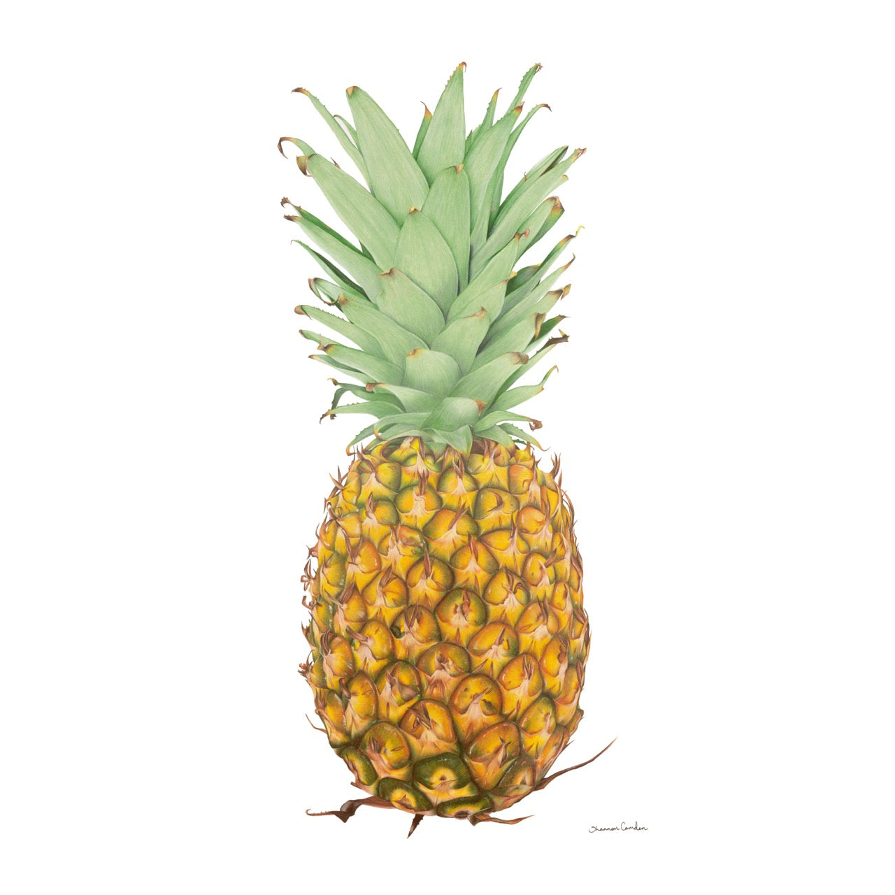 Pineapple Gift Tags