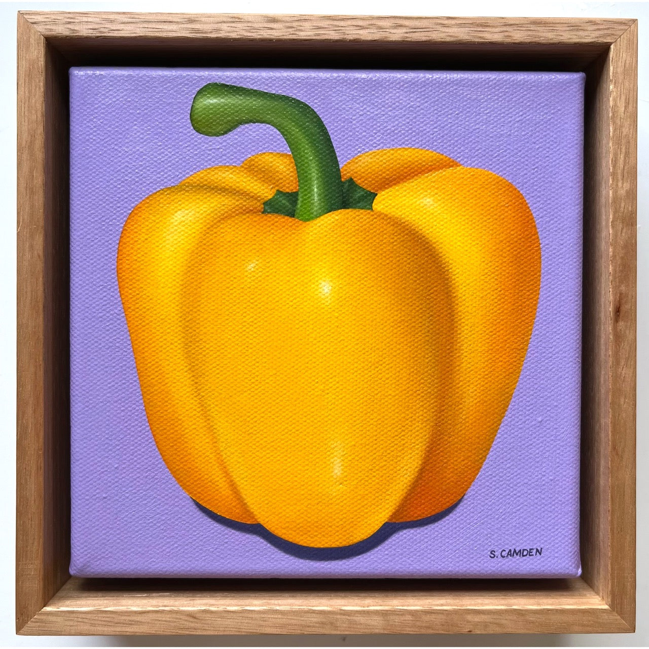 Yellow Capsicum
