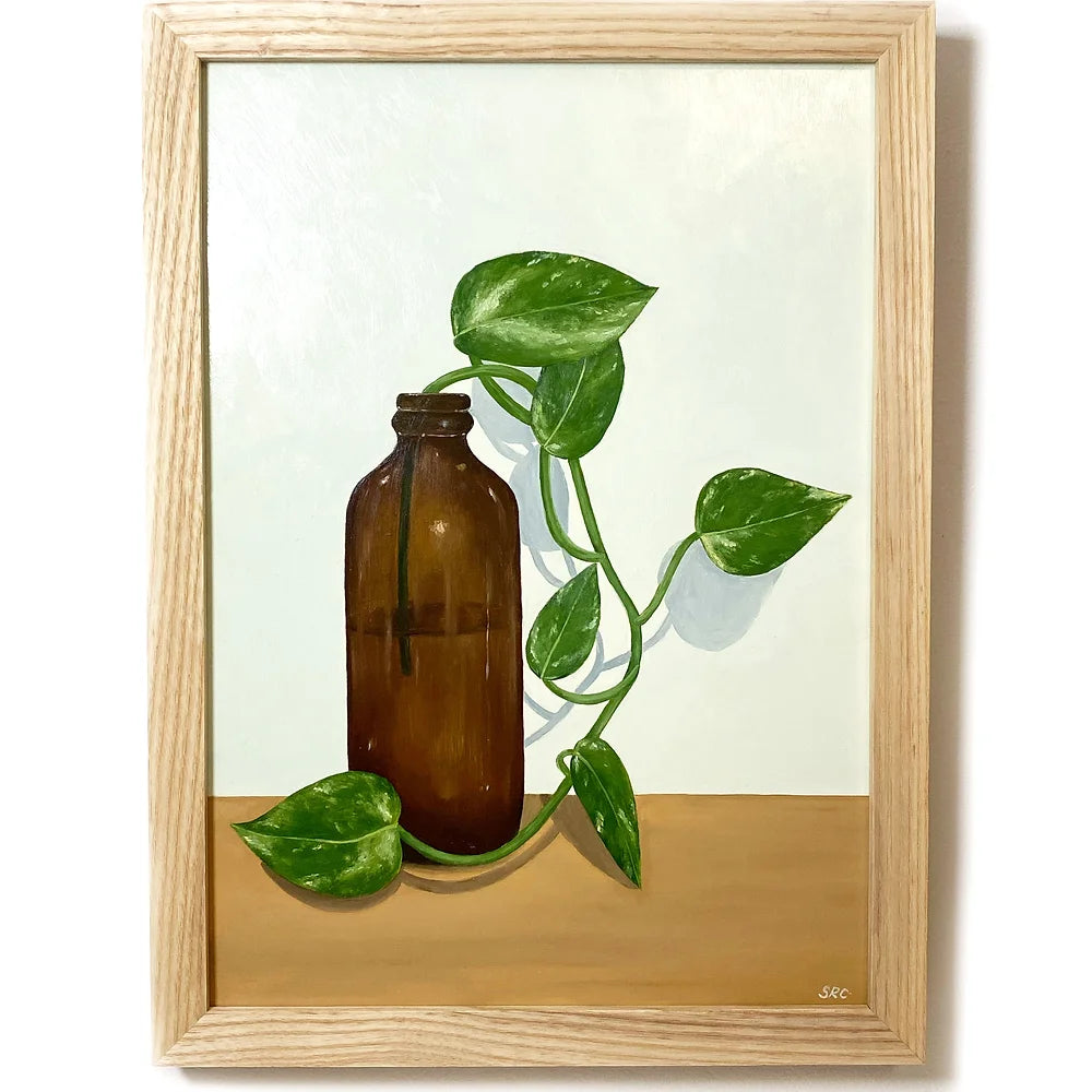 Devils Ivy in a Bottle on a Table