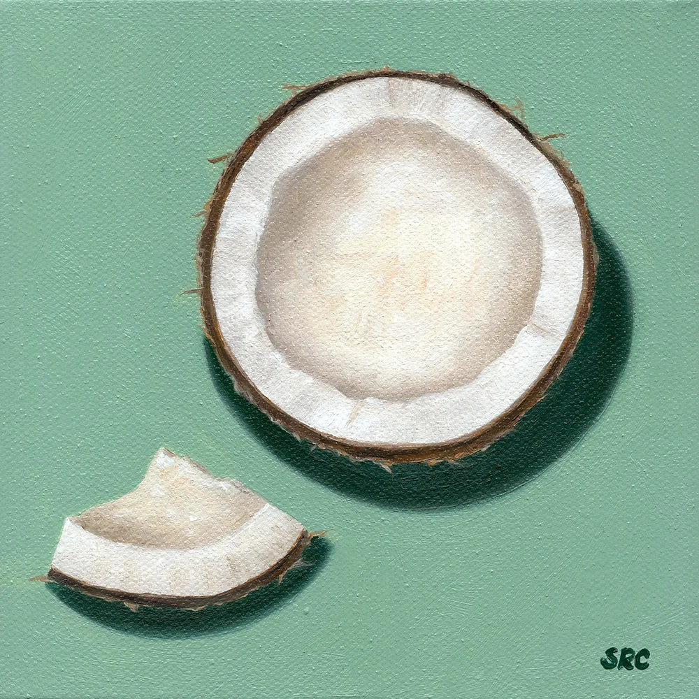 Coconut Magnet