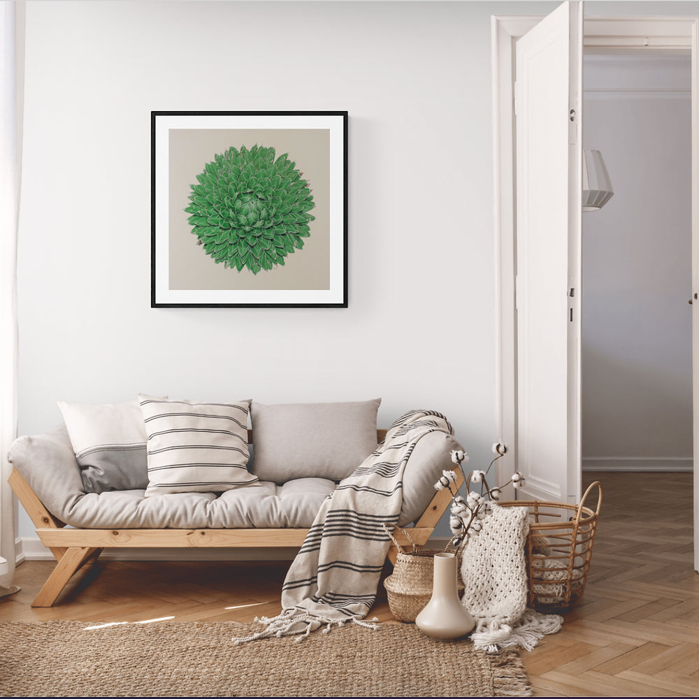 Queen Victoria Agave Fine Art Print