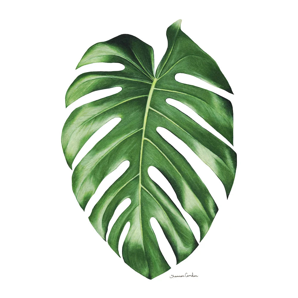 Monstera Greeting Card