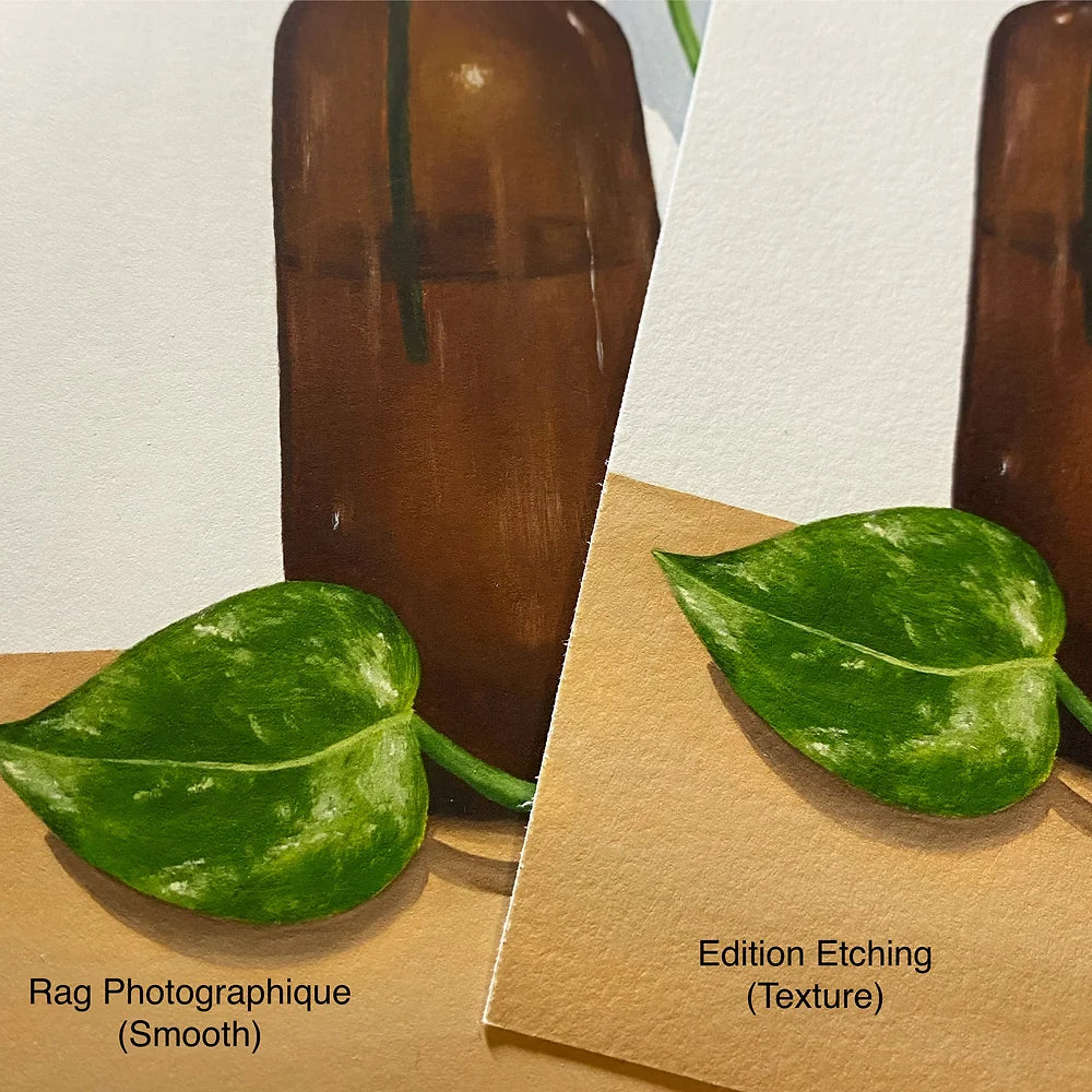 Devils Ivy in a Bottle on a Table Fine Art Print