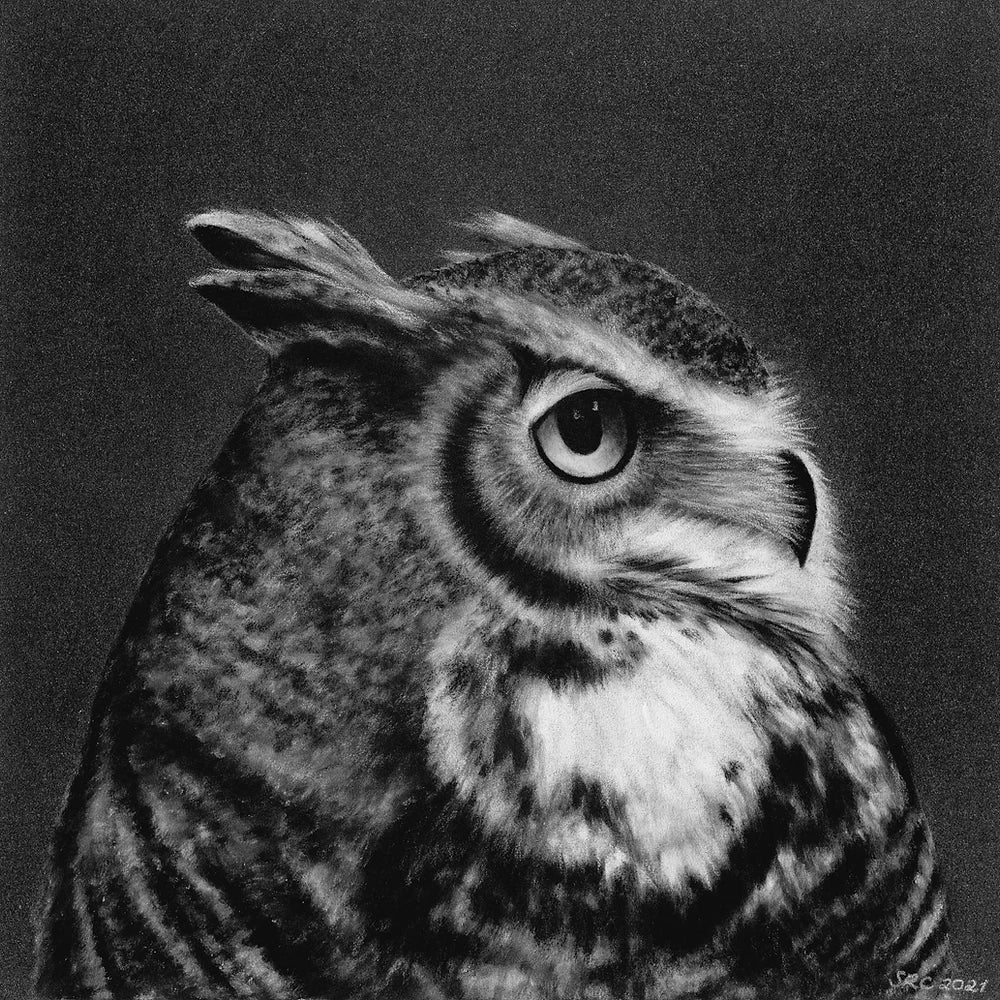 Owl Magnet