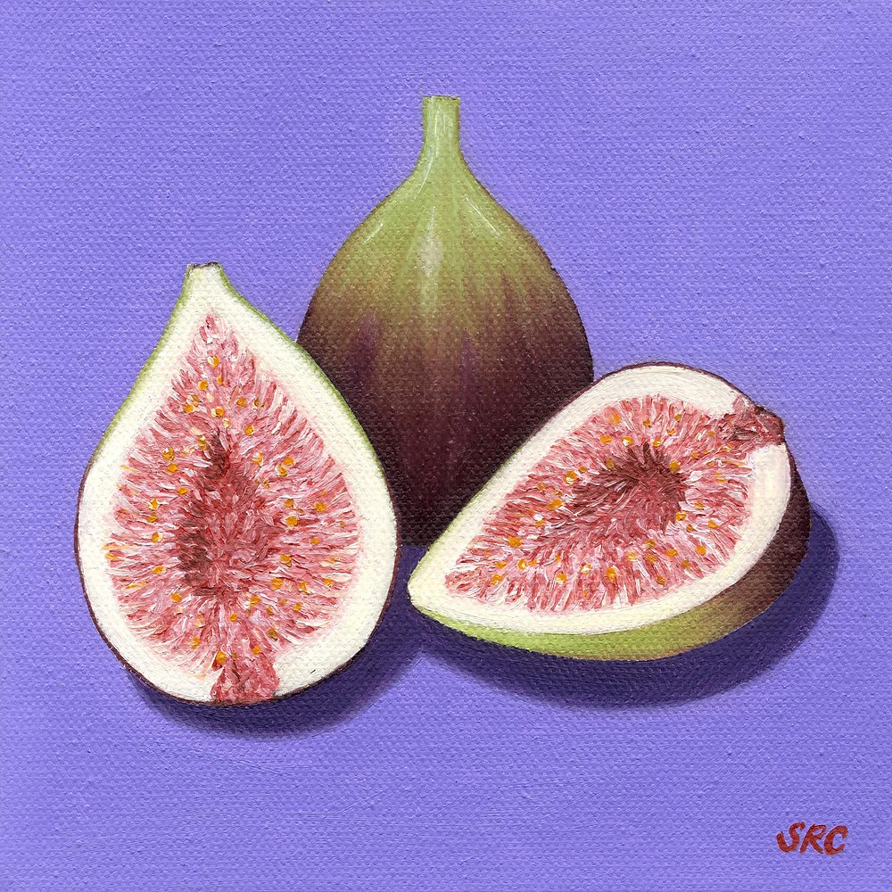 Figs Magnet