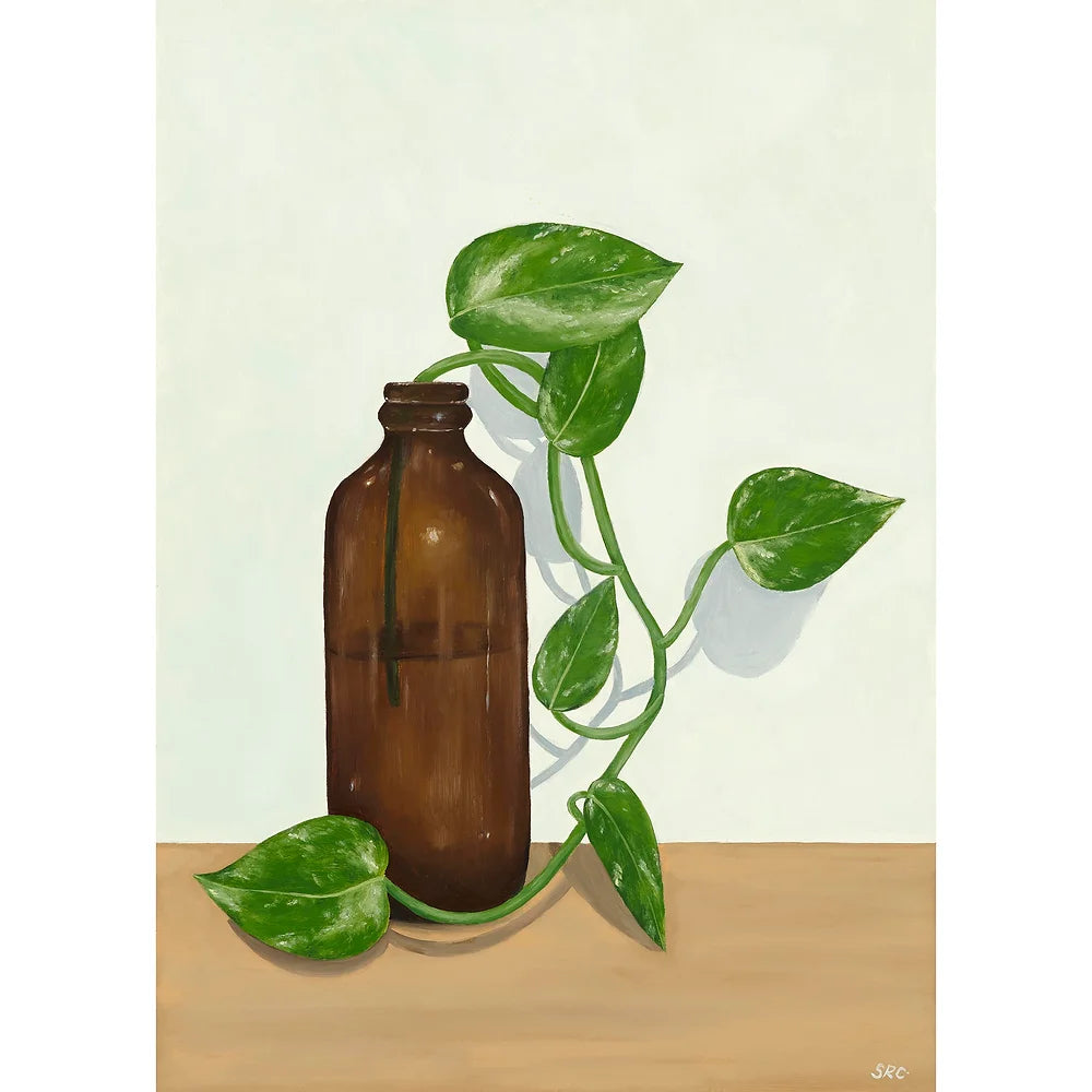 Bottle & Devils Ivy Magnet