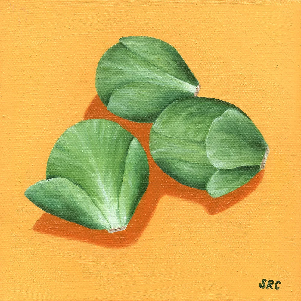 Brussel Sprouts