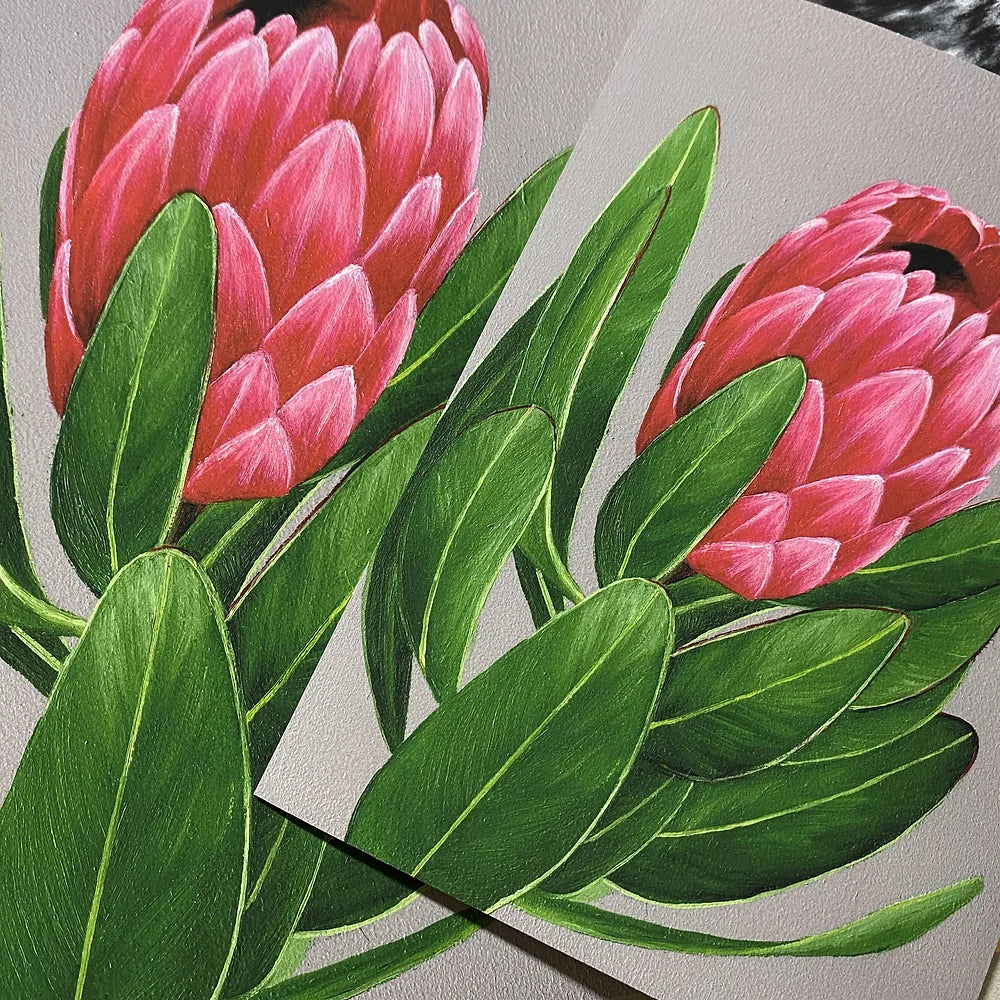 Protea Fine Art Print