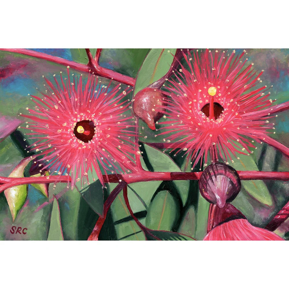 Flowering Gum Magnet