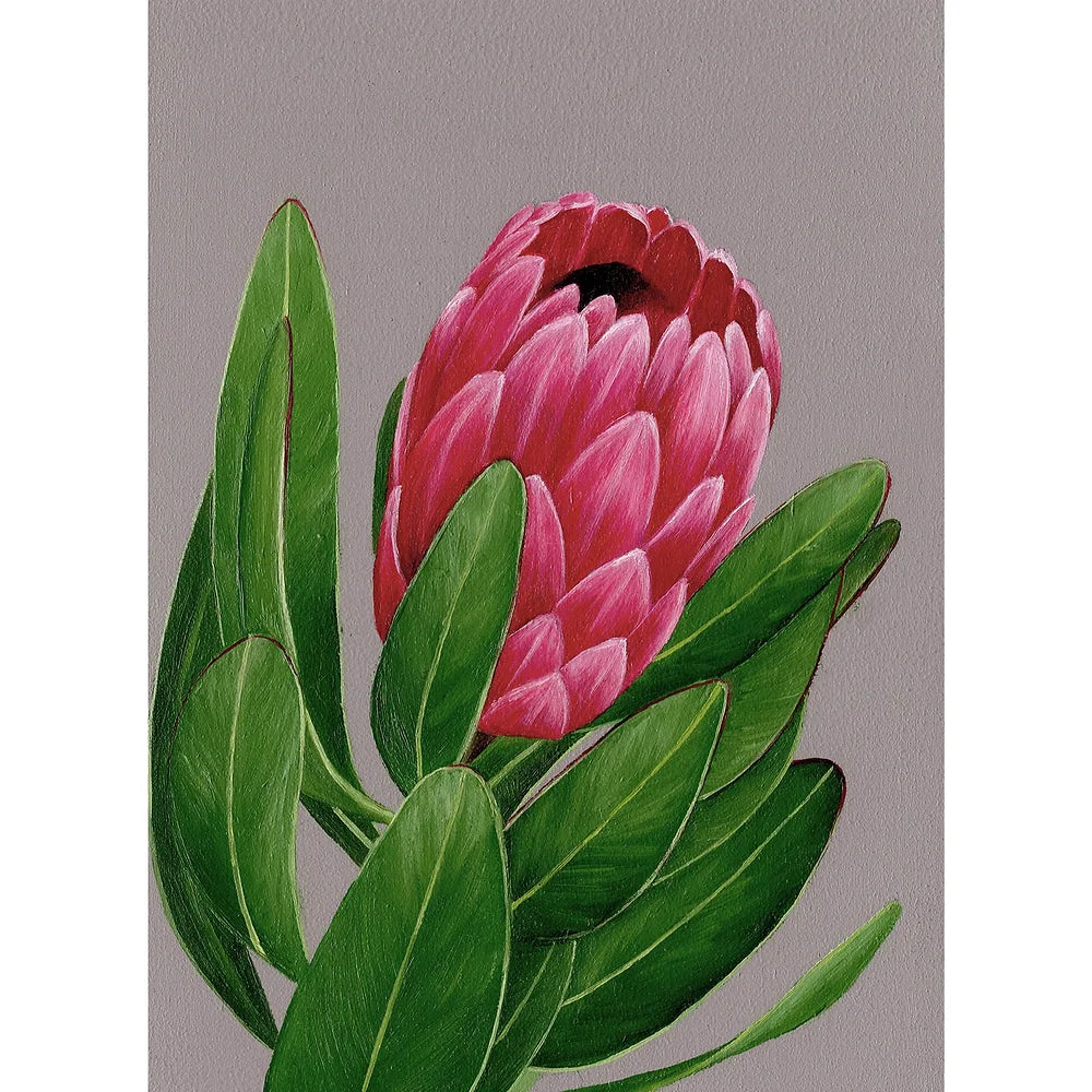 Protea Magnet