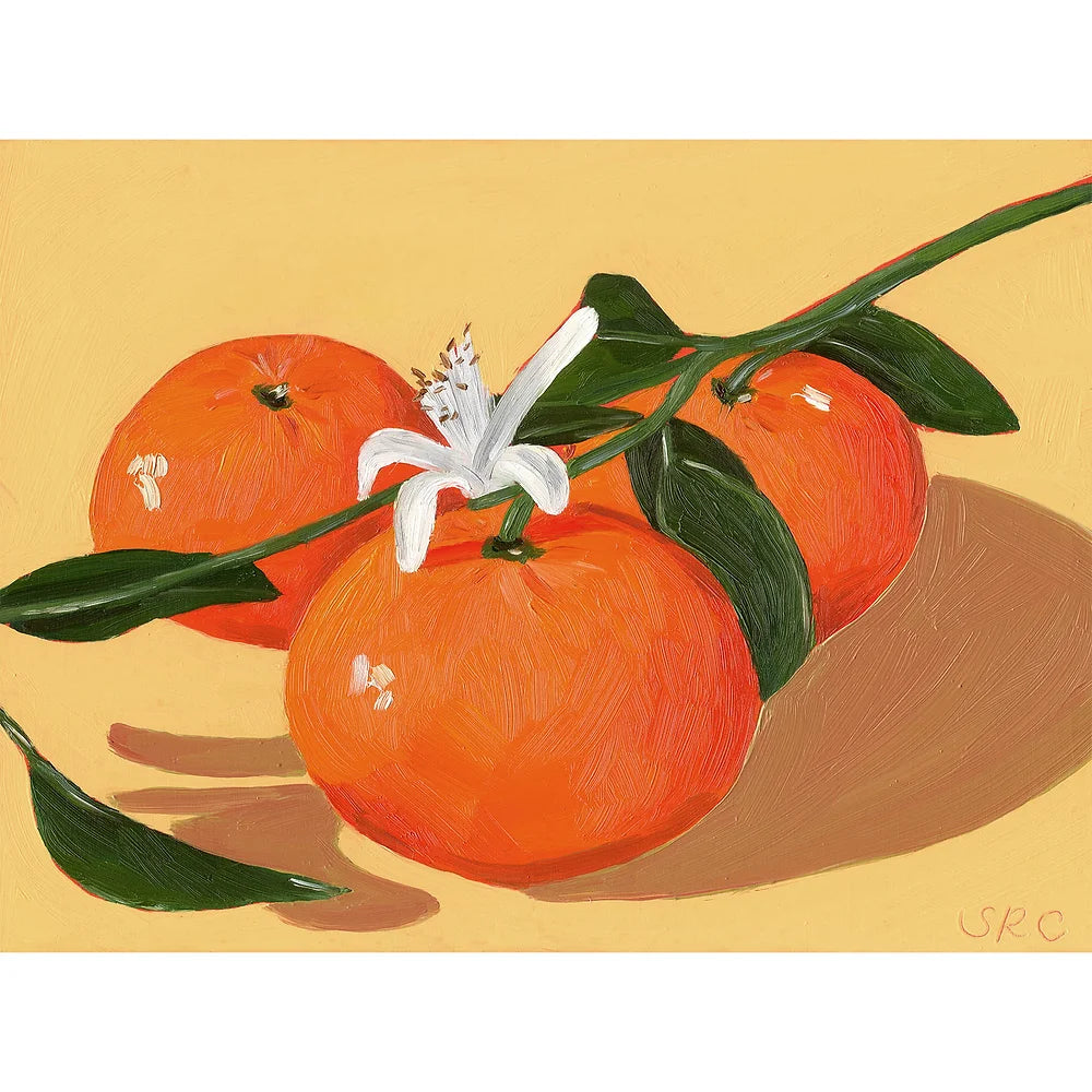 Clementines Greeting Card