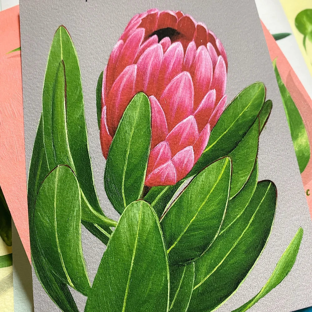Protea Fine Art Print