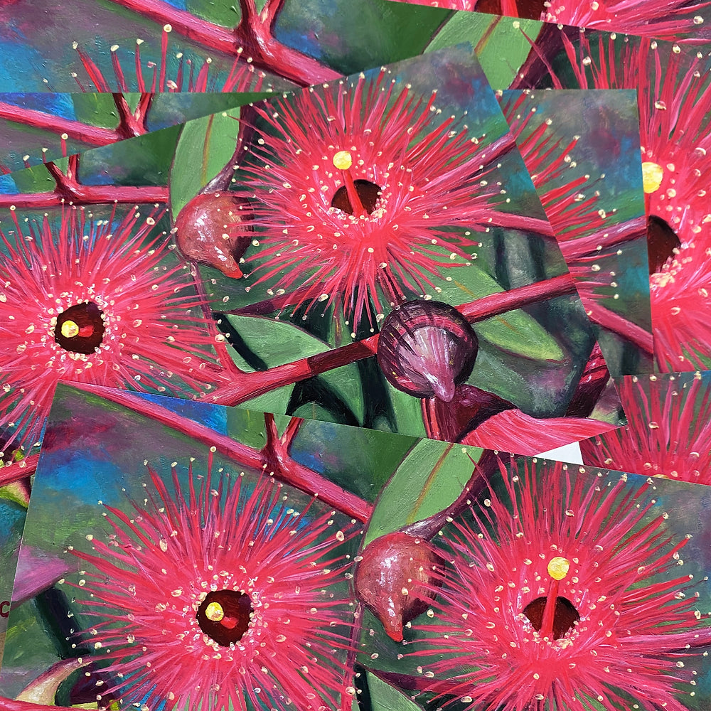 Flowering Gum Study Fine Art Print