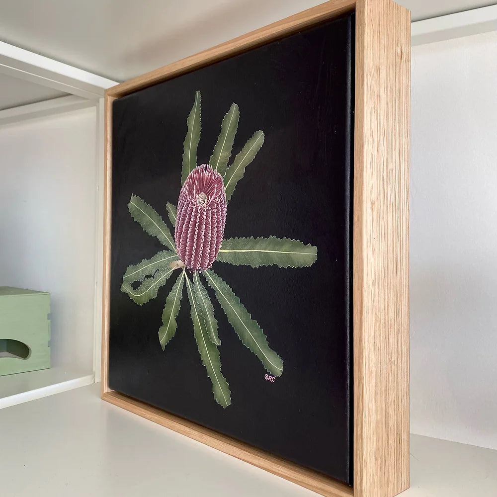 Banksia Study - STUDIO CLEARANCE