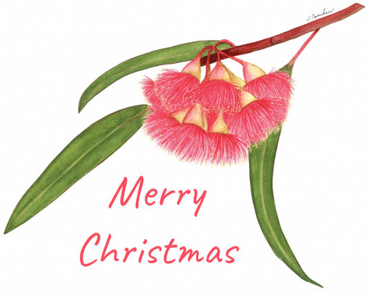 Eucalyptus Christmas Card