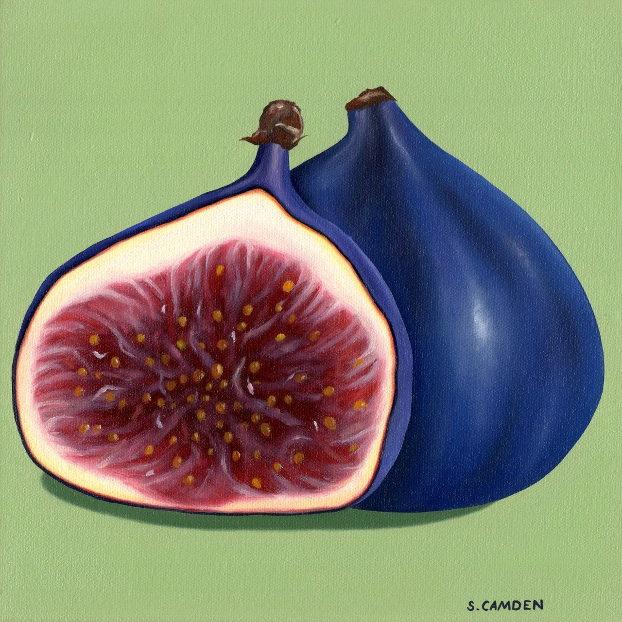 Figs Magnet