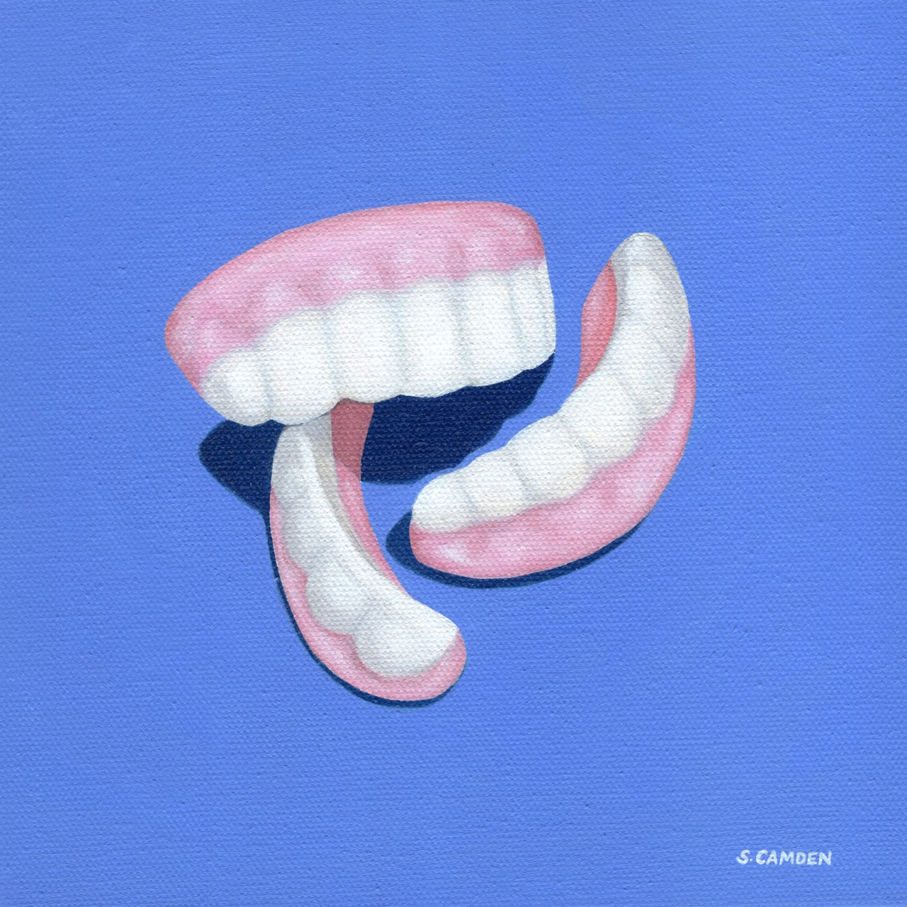 Teeth Magnet