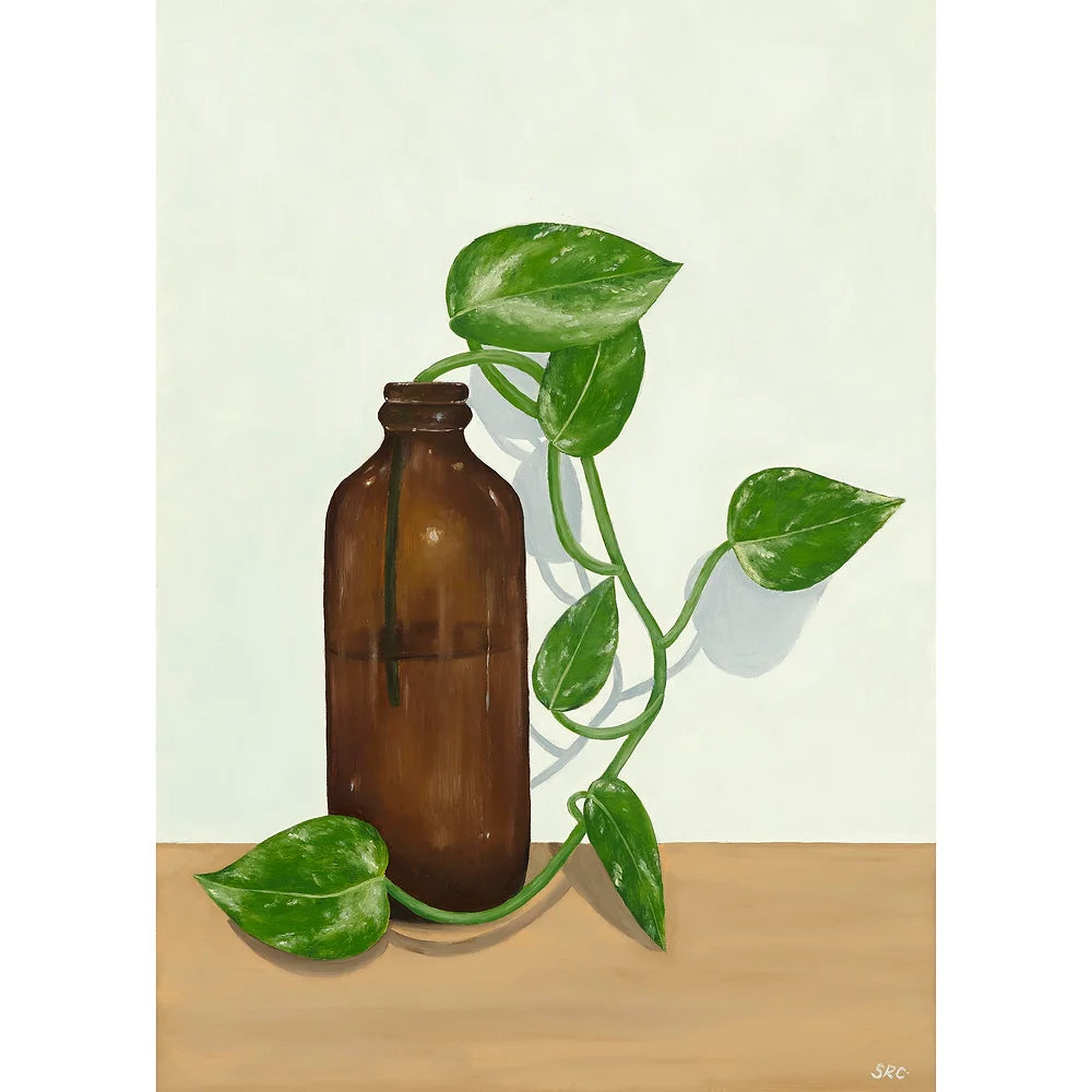 Devils Ivy in a Bottle on a Table Fine Art Print
