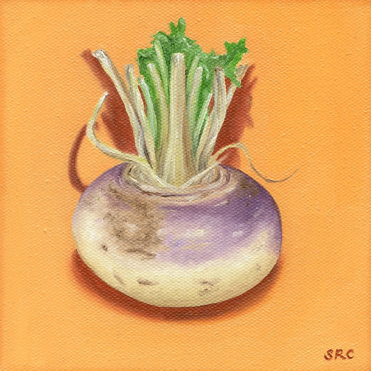 Turnip Magnet