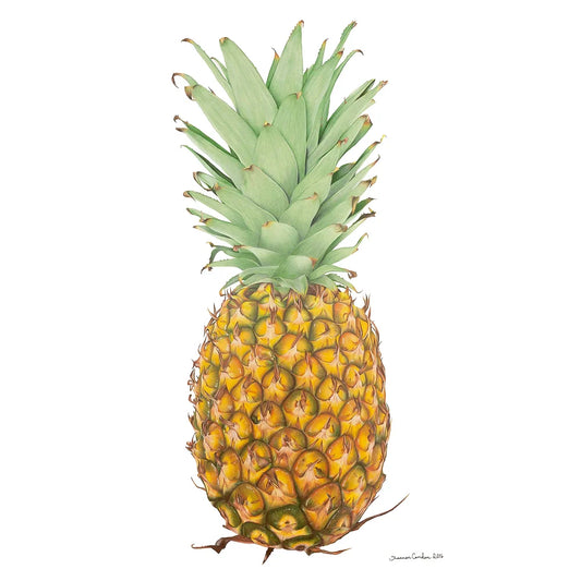 Pineapple Greeting Card