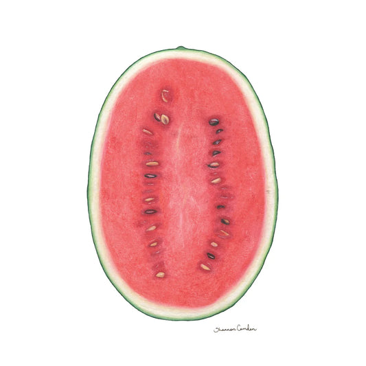 Watermelon Magnet